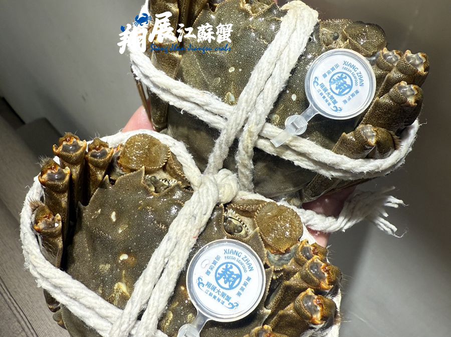 每隻★7.0~7.5兩★巨霸大閘蟹