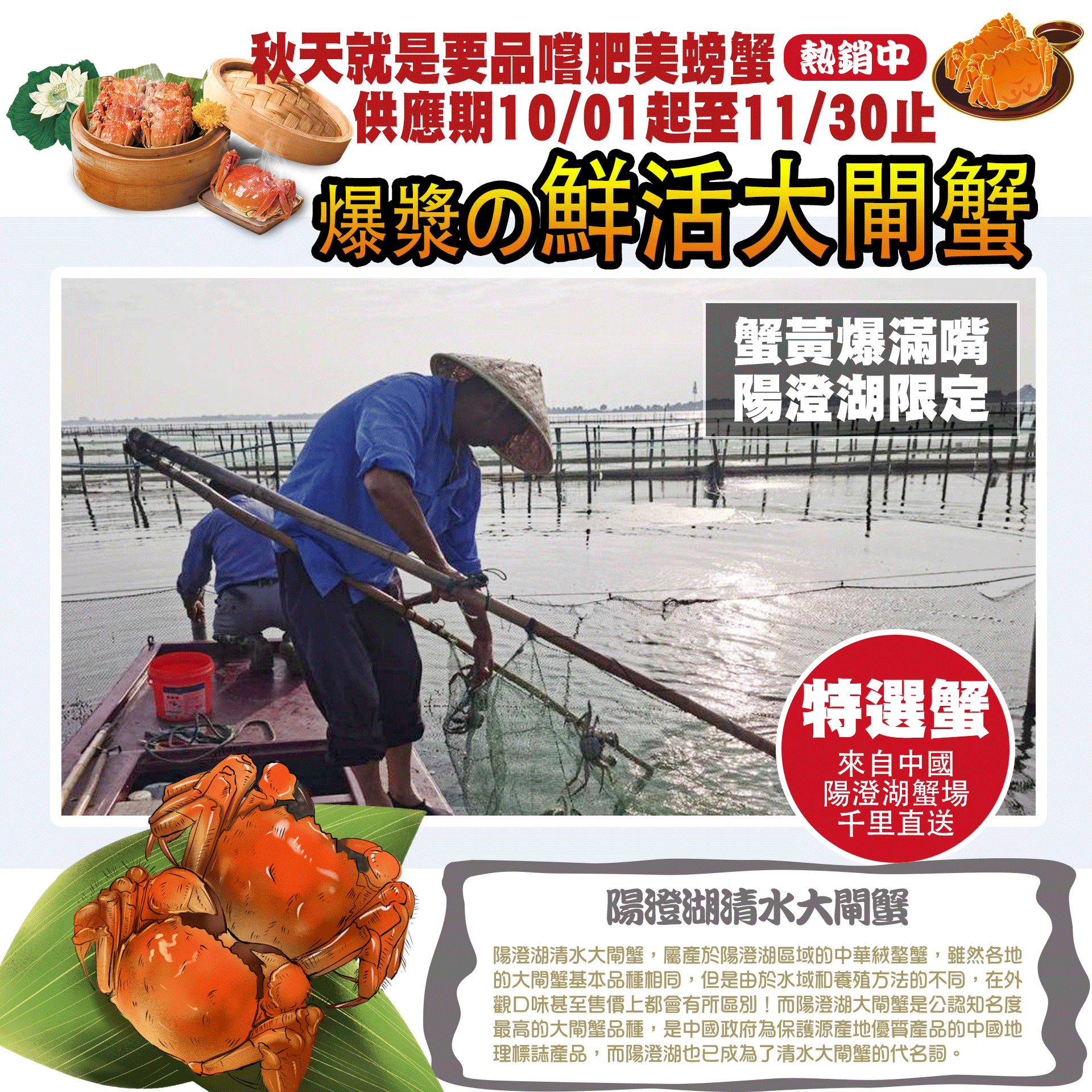 大閘蟹